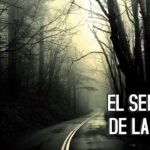 ¿Qué es la orientación? Descubre su importancia en la vida diaria