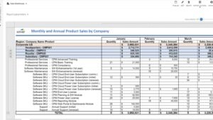 informe de gestion mensual