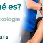 Reflexólogo: Descubre los beneficios de la terapia de reflexología